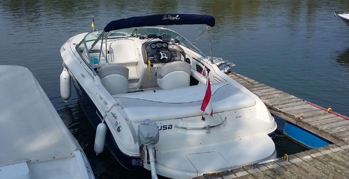 Gebrauchtboot Sea Ray 210 OVE